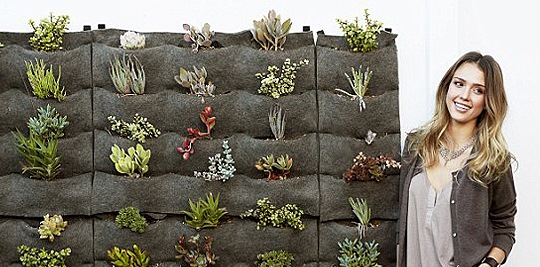 джессика альба и ее дом