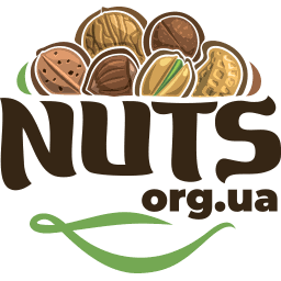 Логотип компанії